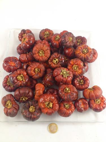 Solanum 250 gr.